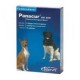 Panacur KH 500 Dog and Cat Wormer